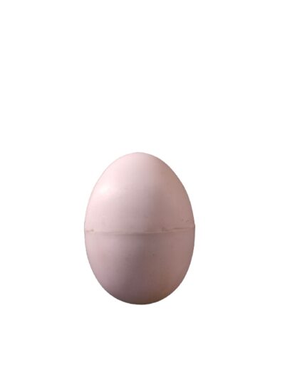 Huevo Falso De Gallina De Plástico