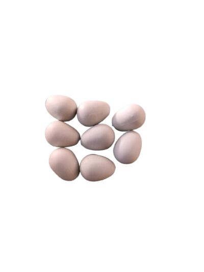 Huevo De Plástico Para Pájaros